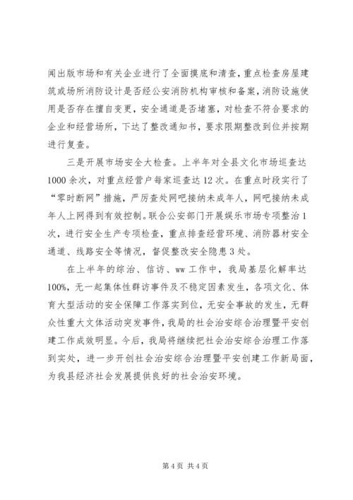 体育局某年上半年社会治安综合治理工作总结.docx