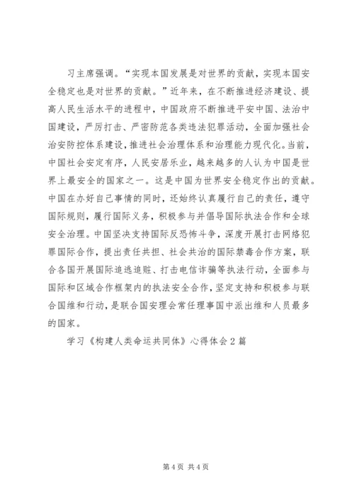 学习《构建人类命运共同体》心得体会2篇.docx