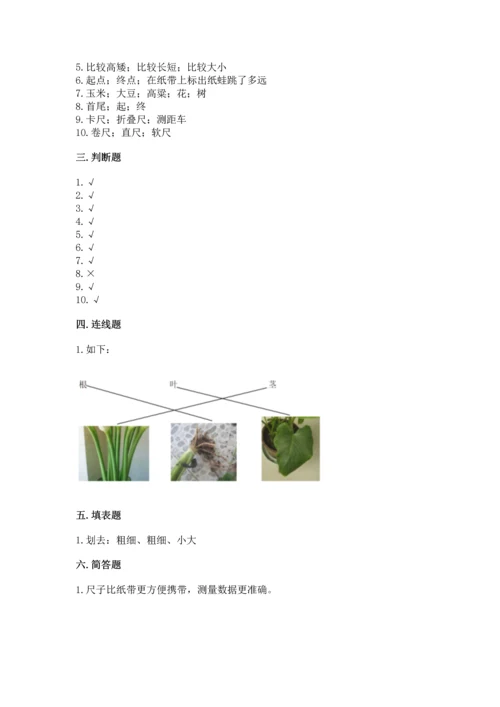 教科版小学一年级上册科学期末测试卷及参考答案（研优卷）.docx