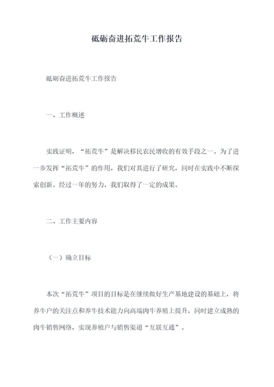 砥砺奋进拓荒牛工作报告