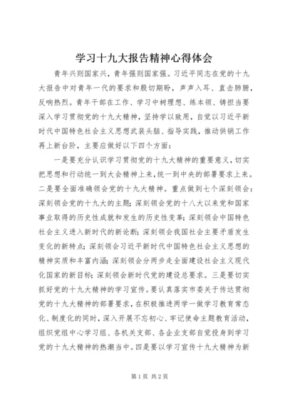 学习十九大报告精神心得体会 (13).docx