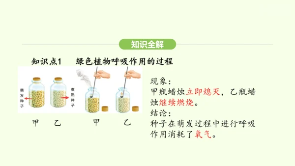 第三单元-第二章-第三节-呼吸作用课件-2024-2025学年七年级生物下学期人教版(2024)(共