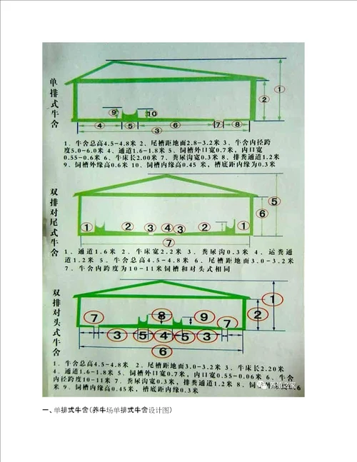 肉牛养殖场平面设计图，养牛场牛棚牛舍图纸