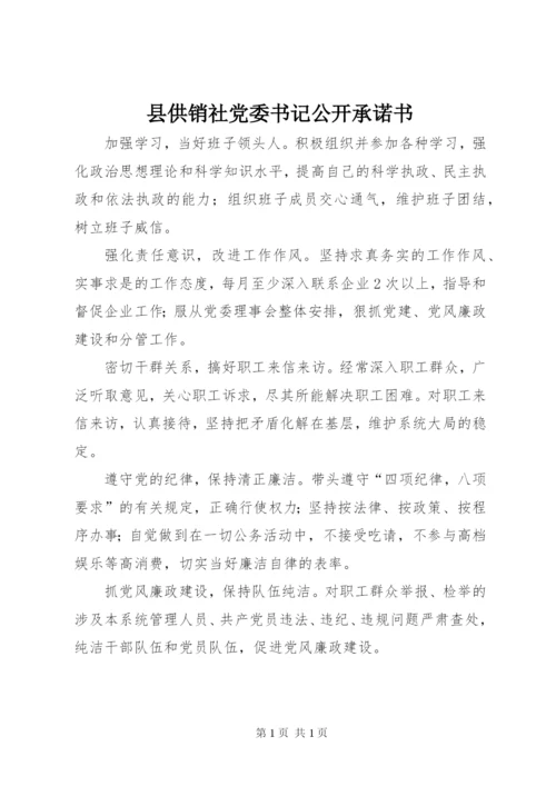 县供销社党委书记公开承诺书.docx