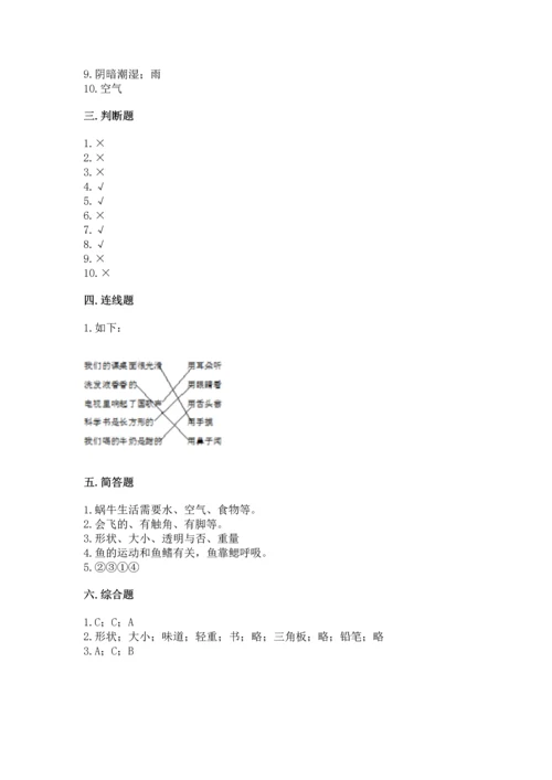 教科版一年级下册科学期末测试卷附答案（精练）.docx