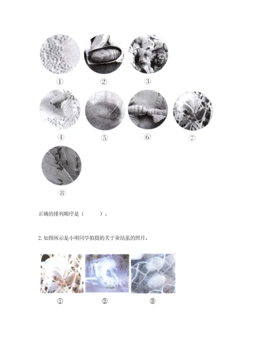 教科版科学三年级下册第二单元《动物的一生》测试卷附答案突破训练
