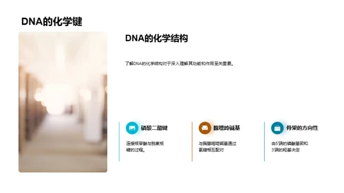 DNA的奥秘与应用