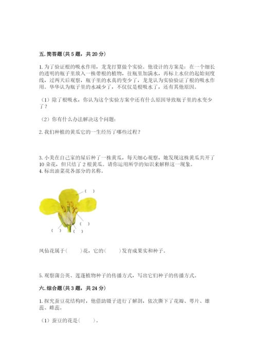 教科版四年级下册科学第一单元《植物的生长变化》测试卷（必刷）.docx
