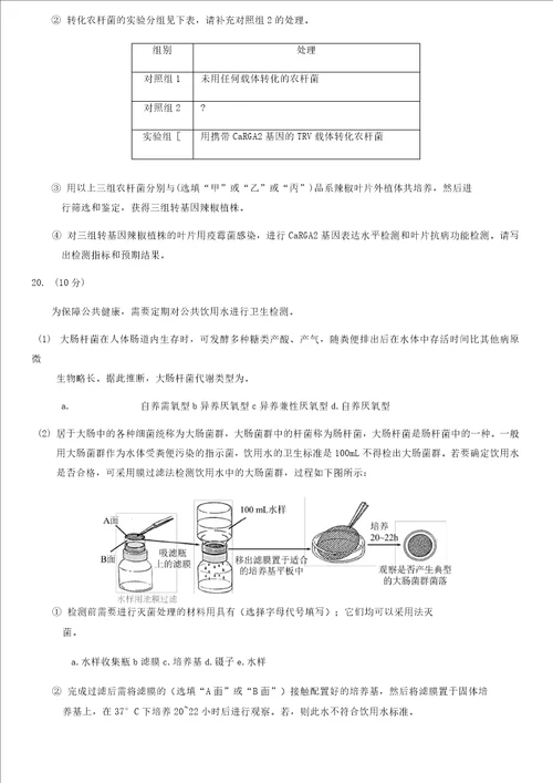 2019北京西城高二下期末生物