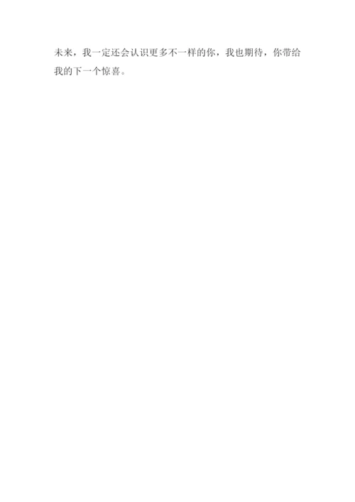 汉字和我作文1000字.docx