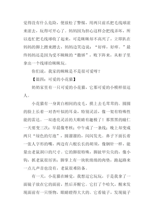 小花猫的作文.docx