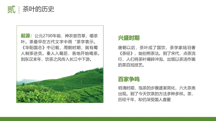 茶叶的故事 中国传统茶文化介绍主题班会课件