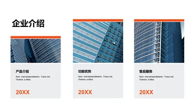 单色扁平3项企业介绍