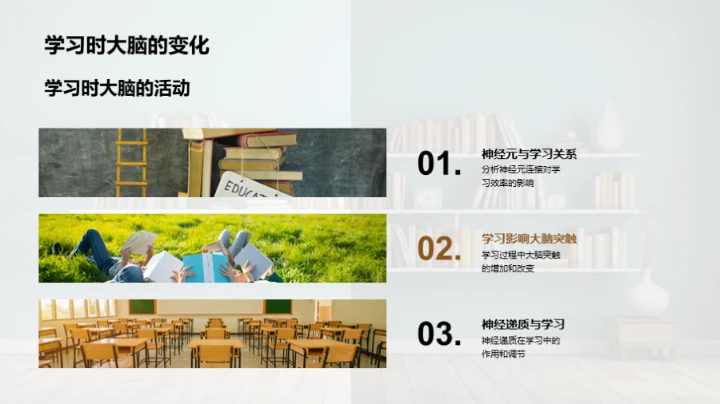 探秘学习的乐园