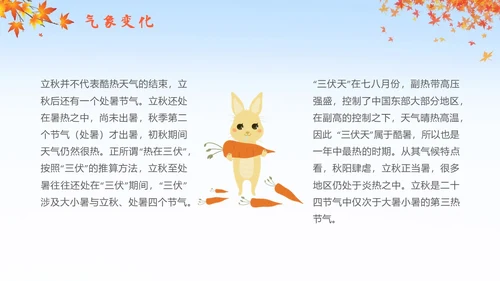 简约插画枫叶立秋二十四节气立秋科普知识科普PPT