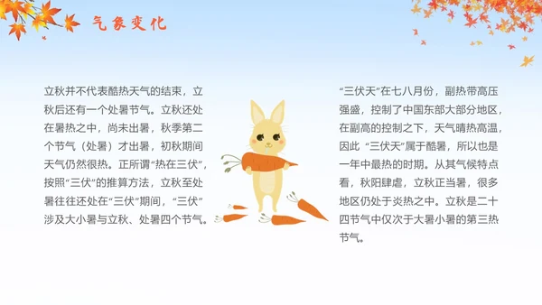 简约插画枫叶立秋二十四节气立秋科普知识科普PPT