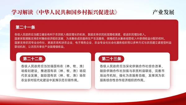 红色简约乡村振兴促进法解读学习PPT模板