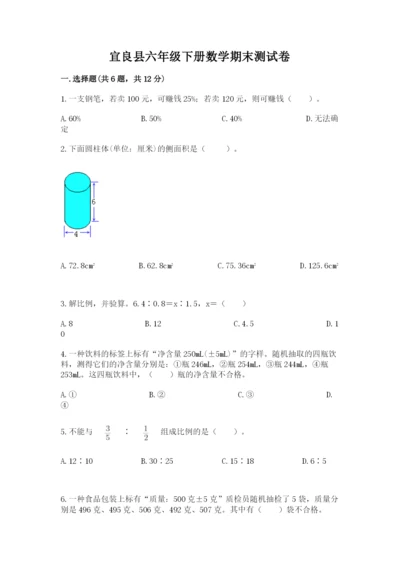 宜良县六年级下册数学期末测试卷及完整答案.docx