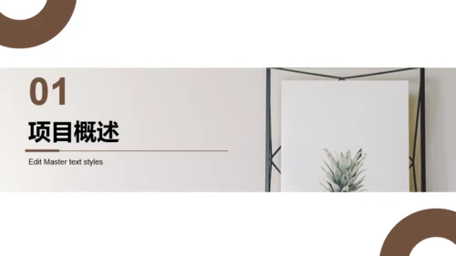 棕色商务简约风项目工作总结汇报PPT模板