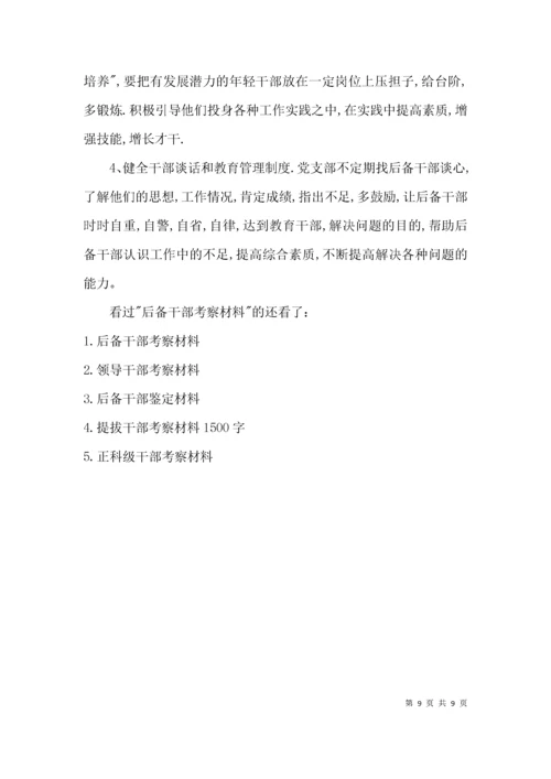 （精选）后备干部考察材料.docx