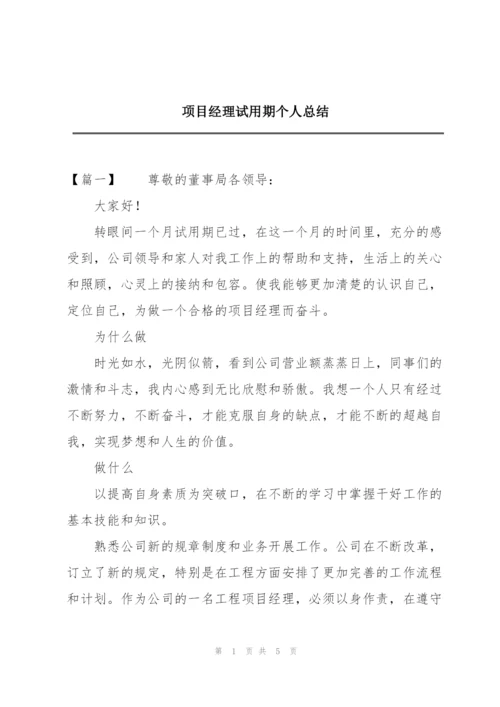 项目经理试用期个人总结.docx