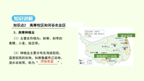 9.1 自然特征与农业（课件30张）- 人教版地理八年级下册