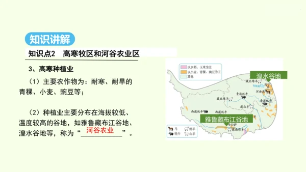 9.1 自然特征与农业（课件30张）- 人教版地理八年级下册
