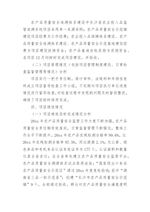 项目支出绩效目标执行监控报告.docx