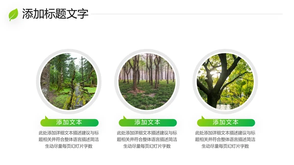 绿色环保森林湿地环境保护生态森林业PPT