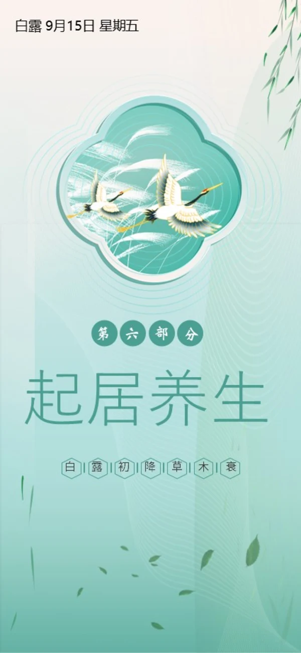 白露节气二十四节气知识手机竖版PPT课件