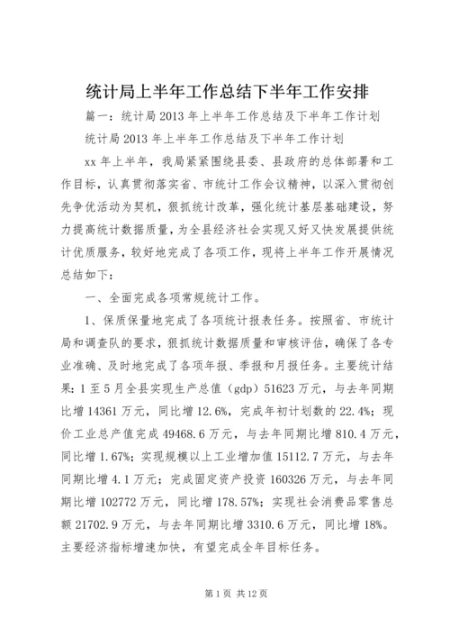 统计局上半年工作总结下半年工作安排.docx