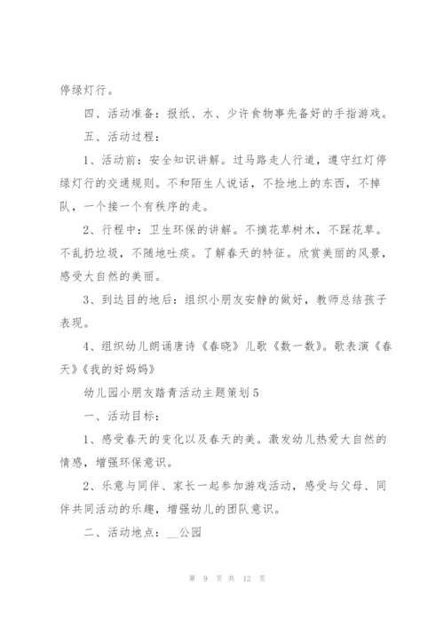 幼儿园小朋友踏青活动主题策划.docx
