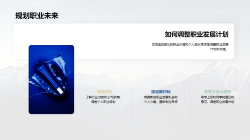 登峰造极：职业成长之路