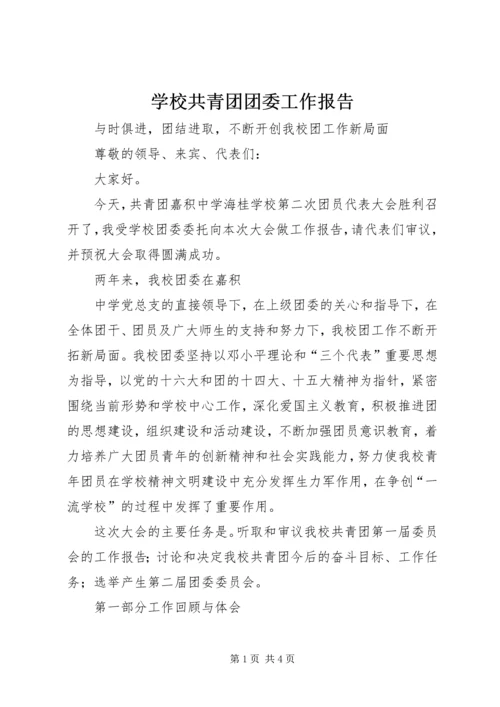 学校共青团团委工作报告 (8).docx