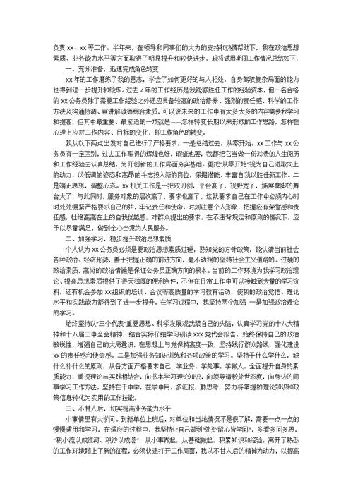 试用期满个人工作总结