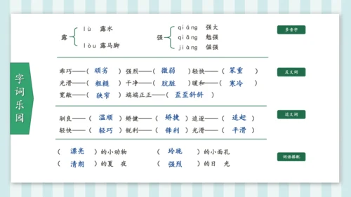 统编版五年级语文上册第17课《松鼠》教学课件