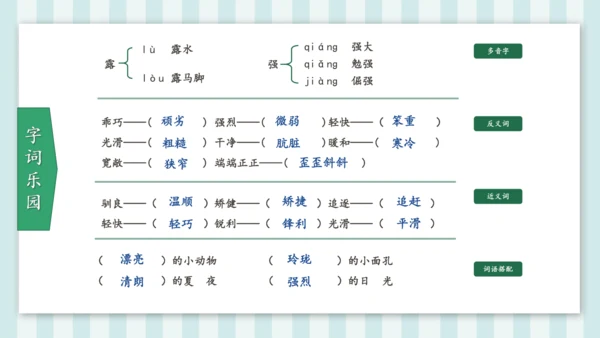 统编版五年级语文上册第17课《松鼠》教学课件