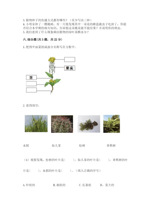 科学四年级下册第一单元《植物的生长变化》测试卷精品【考试直接用】.docx