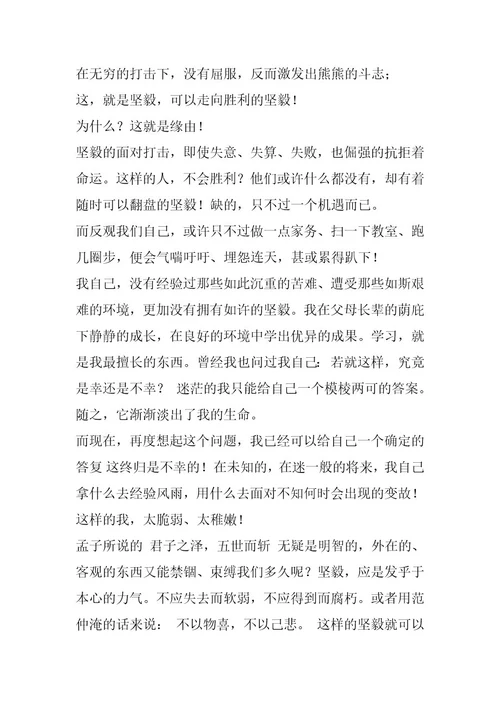 2024年真正的坚强作文900字