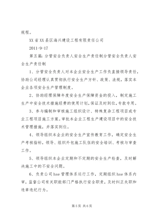 企业分管安全工作负责人安全生产职责精编.docx