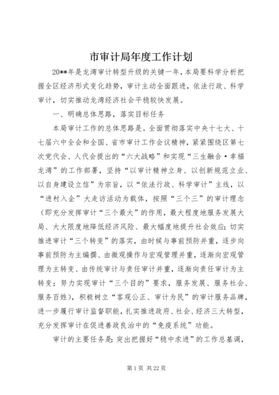 市审计局年度工作计划.docx