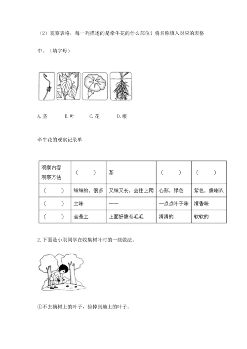 教科版科学一年级上册第一单元《植物》测试卷【易错题】.docx