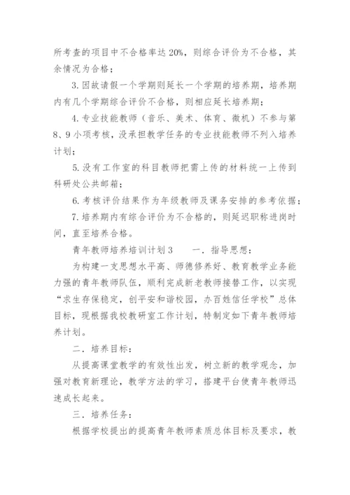 青年教师培养培训计划.docx