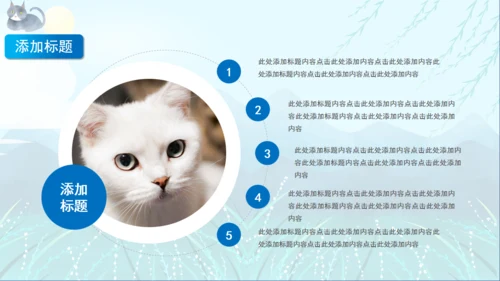 宠物猫咪喵喵成长通用PPT画册