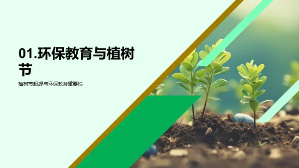 绿色教育：植树节实践