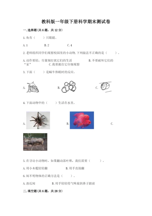教科版一年级下册科学期末测试卷含完整答案【网校专用】.docx