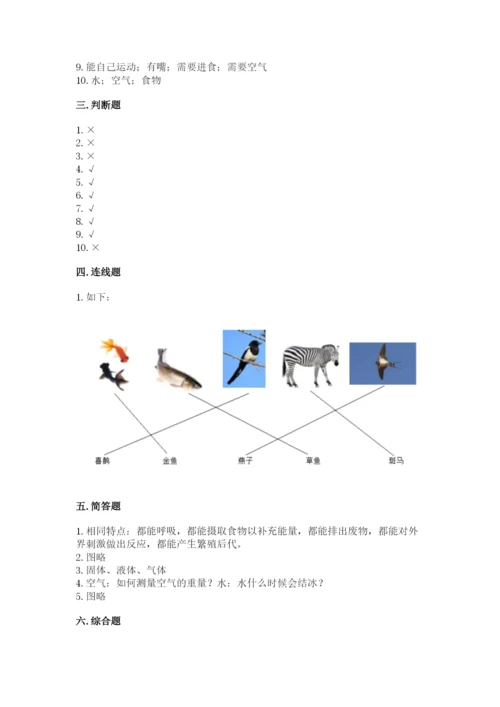 教科版一年级下册科学期末测试卷精品（考点梳理）.docx