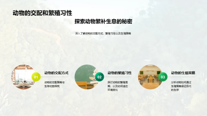 动物世界的奥秘