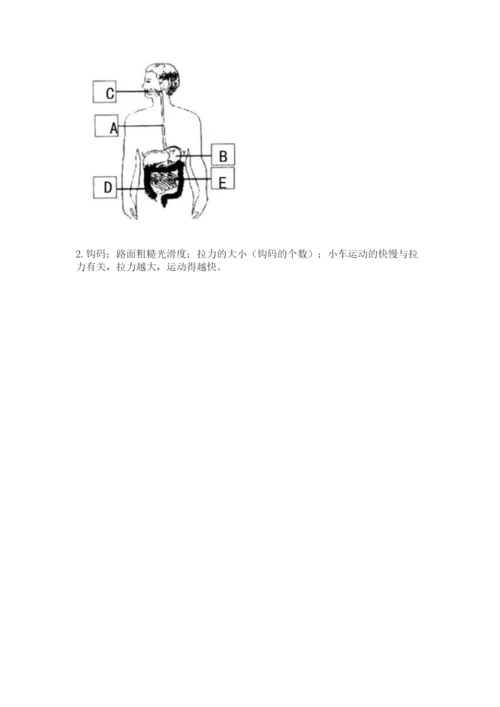 教科版四年级上册科学期末测试卷【满分必刷】.docx
