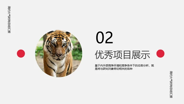 时尚虎年总结汇报通用PPT模板
